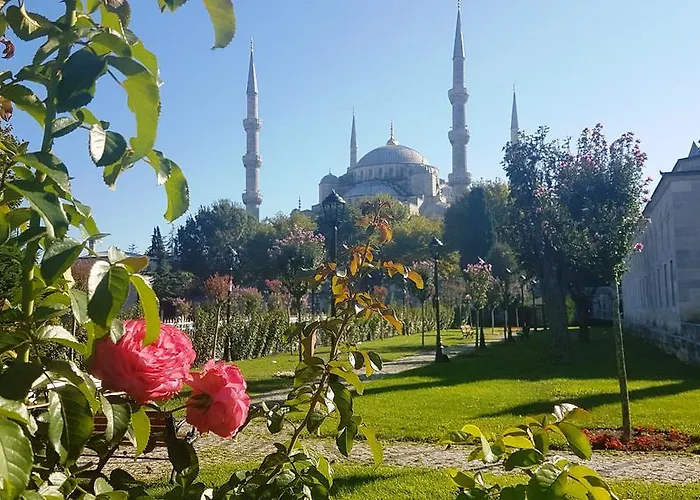 Отель Peninsula